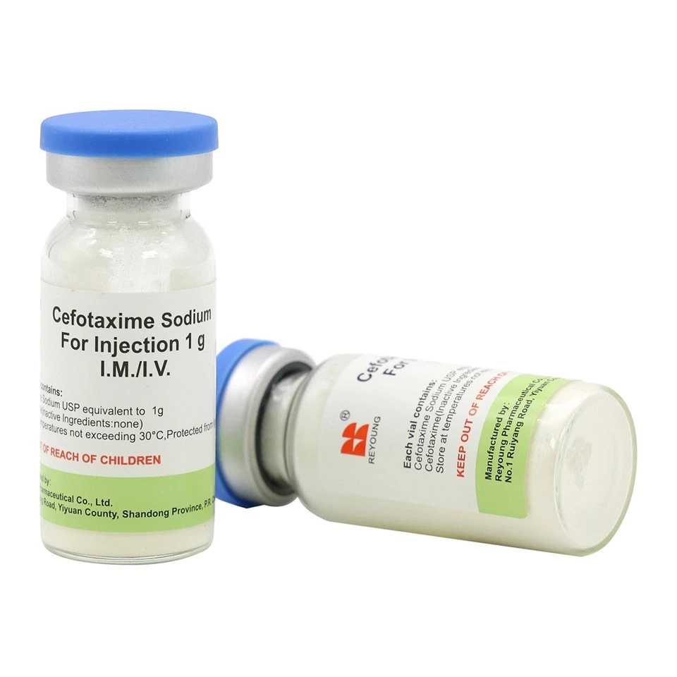 Cefotaxime Sodium For Injection Powder